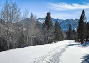 Rock Creek Sno Park in Mono County